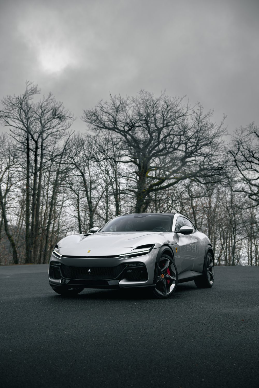 Ferrari Purosangue